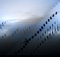 Jounama Creek Walking Track