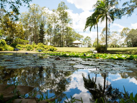 Kholo Gardens - Tourism Noosa 1