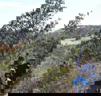 Kinchina Conservation Park - Tourism Noosa