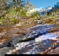 Little Dandahra Creek Walking Track - Tourism Noosa