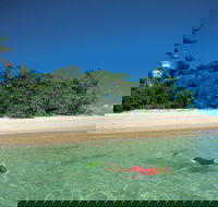 Low Isles - Tourism Noosa