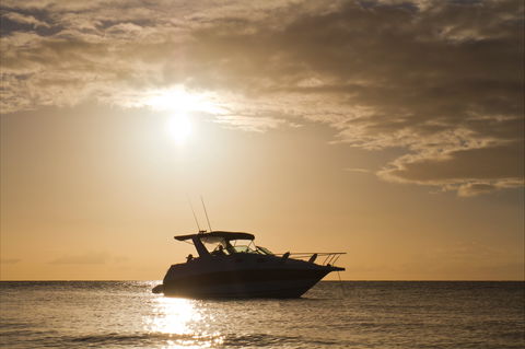 Maaroom - Tourism Noosa 0