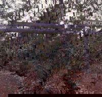 Marrinup Trail Dwellingup - Tourism Noosa