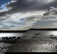 Marine Parade Hastings Foreshore Reserve Circuit Walk