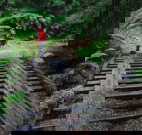 Montezuma Falls - Tourism Noosa