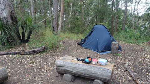 Northbrook Mountain Bush Camp - Tourism Noosa 0