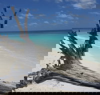 North West Island - Tourism Noosa