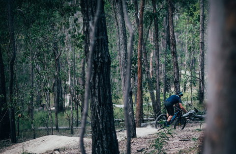 Old Tambo Downhill Mountain Bike Track - Tourism Noosa 0
