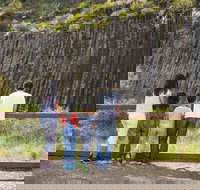 Organ Pipes National Park - Tourism Noosa