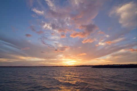 Poona - Tourism Noosa 1