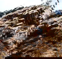 Rock Climbing in Morialta - Tourism Noosa