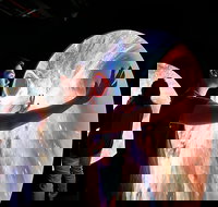 Scienceworks - Tourism Noosa