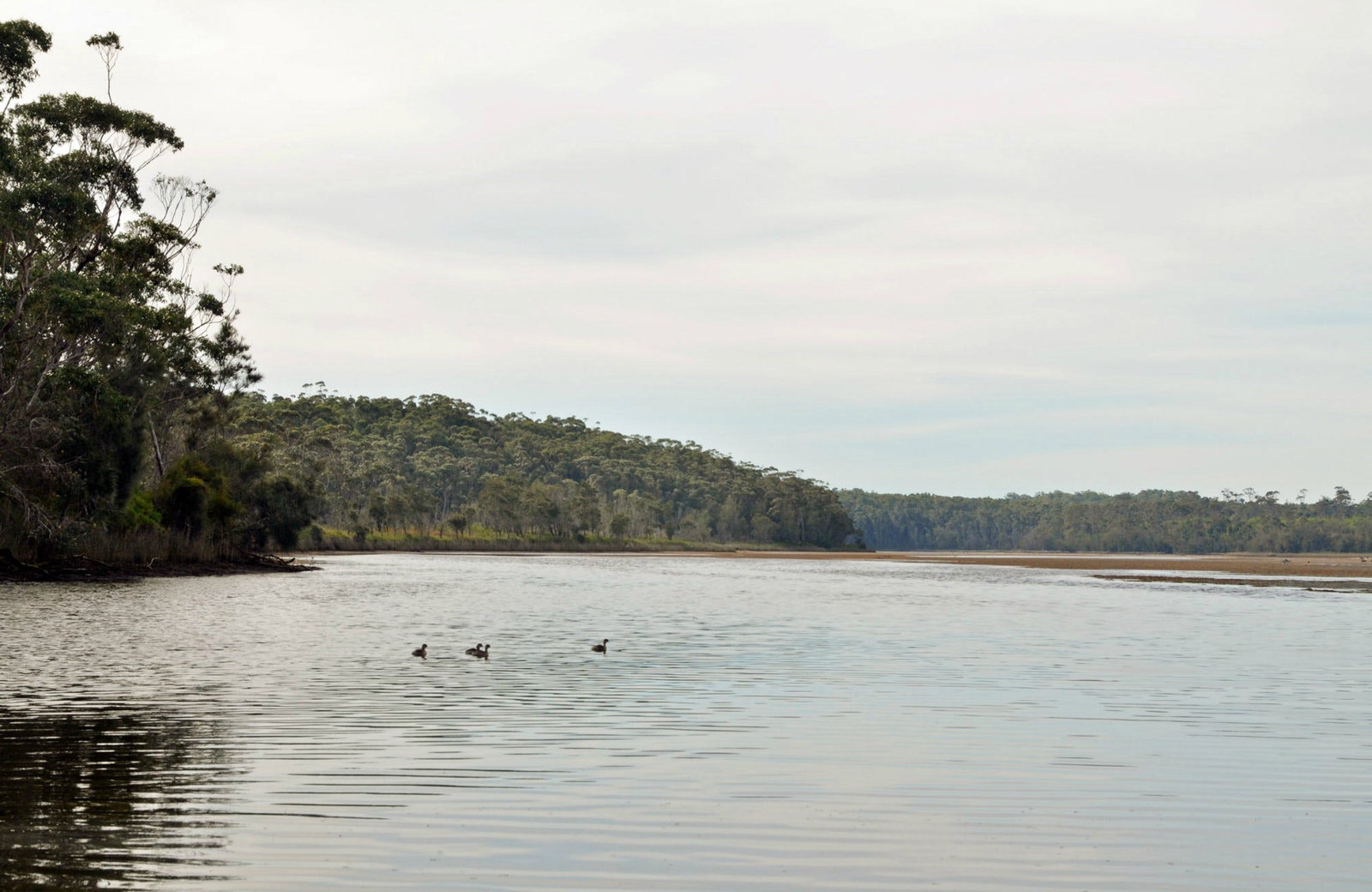 Lake Tabourie NSW Tourism Noosa