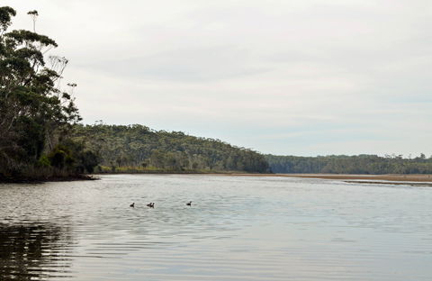 Tabourie Lake - Tourism Noosa 0