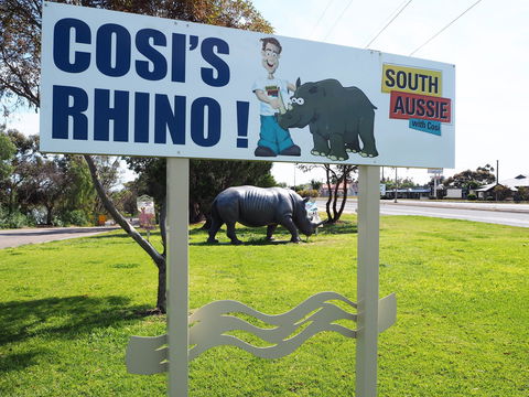 Tailem Bend Rhino Park And Dickson Reserve - Tourism Noosa 1