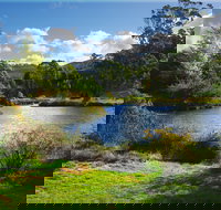 Tasmanian Arboretum Inc. - The - Tourism Noosa