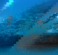 The Zanoni Wreck - Tourism Noosa