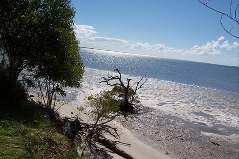 Tinnanbar - Tourism Noosa 1