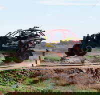 Turbo Buggy Ride - Tourism Noosa