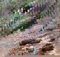 Turner Hill Mountain Bike Trail Murray - Tourism Noosa