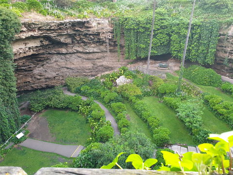 Umpherston Possum Tours - Tourism Noosa 2