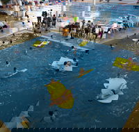 Wodonga Sports and Leisure Centre - Tourism Noosa