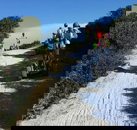 Xperiences - Tourism Noosa