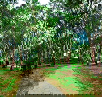 Adungadoo Pathway - Tourism Noosa