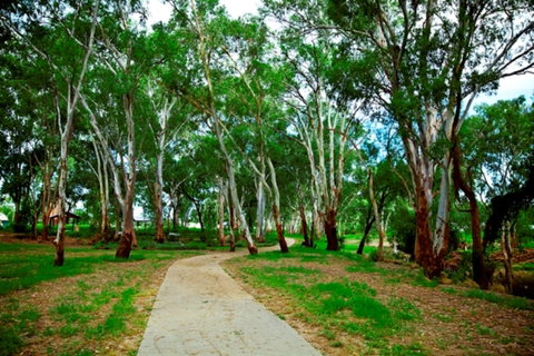 Adungadoo Pathway - Tourism Noosa 0