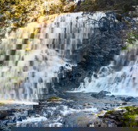 Bridal Veil Champagne and No Name Falls - Tourism Noosa