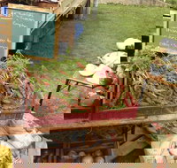 Burnie Farmers Market - Tourism Noosa