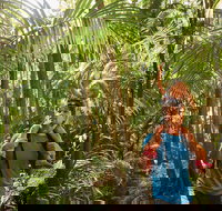 Canungra - Tourism Noosa