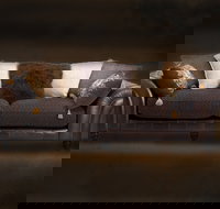 Cargo Lane - Tourism Noosa