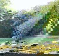 Cedar Creek Falls - Tourism Noosa