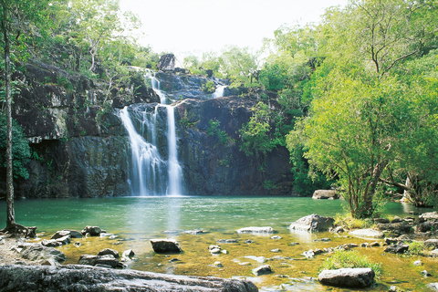 Cedar Creek Falls - Tourism Noosa 0
