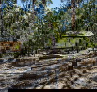 Couridjah Corridor Walk - Tourism Noosa