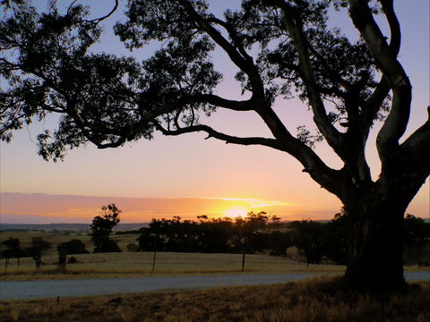 Eden Valley Lookout - Tourism Noosa 0