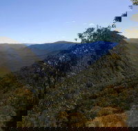 Escarpment Walk - Tourism Noosa