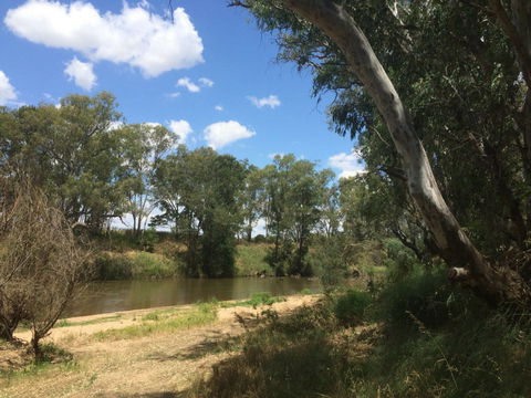 Farleigh 'Beach' Reserve - Tourism Noosa 0