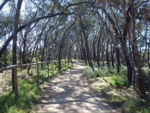 Federation Walk - Tourism Noosa 0