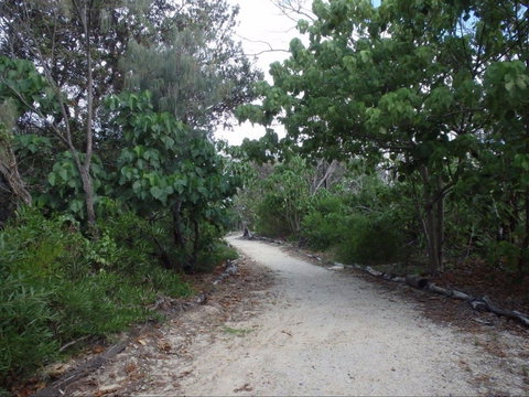 Federation Walk - Tourism Noosa 1