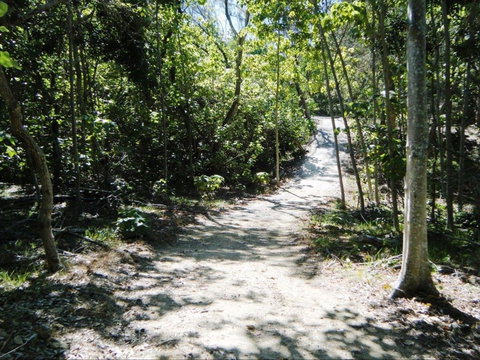 Federation Walk - Tourism Noosa 2