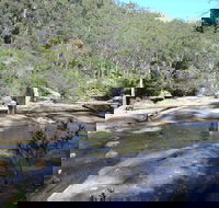 Frere's Crossing Bushwalk - Tourism Noosa