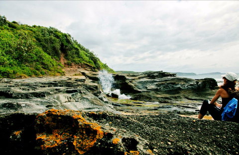 Glenrock State Conservation Area - Tourism Noosa 0