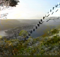 Great North walk - Berowra Valley National Park - Tourism Noosa