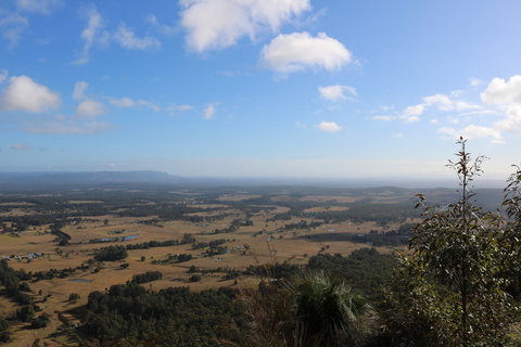 Heaton State Forest - Watagan Mountains - Tourism Noosa 0