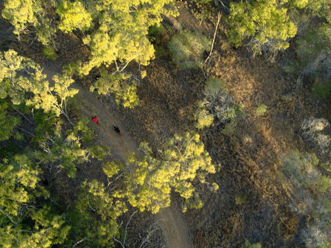 Hillview Drive Reserve - Tourism Noosa 2
