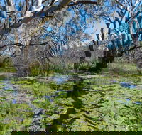 Macquarie Valley Trails - Tourism Noosa