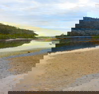 Mangrove Walk - Tourism Noosa