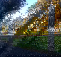 Mansfield Botanic Park - Tourism Noosa